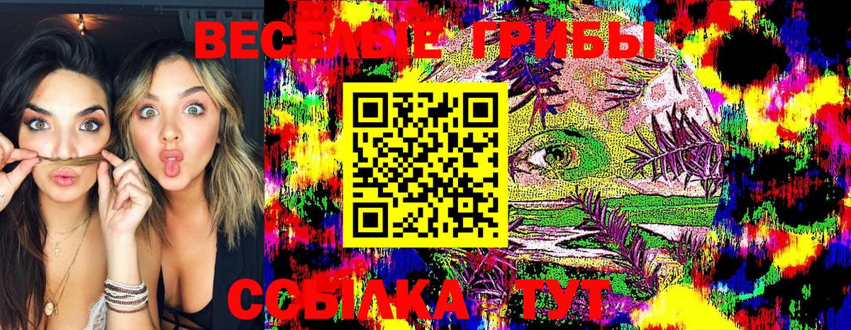 Галлюциногенные грибы Cubensis Альметьевск